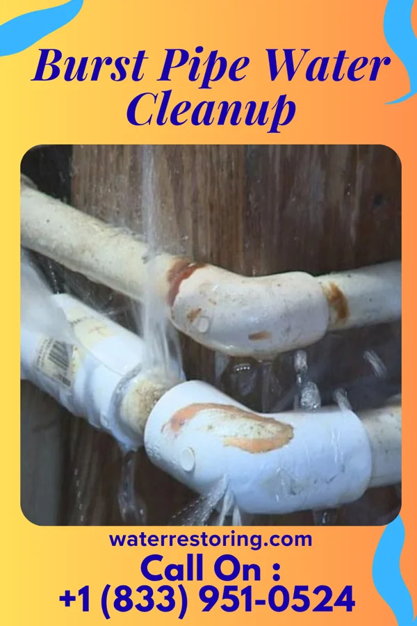 Burst Pipe Water Cleanup in Garner, NC