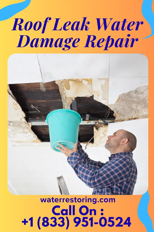Roof Leak Water Damage Repair in Garner, NC