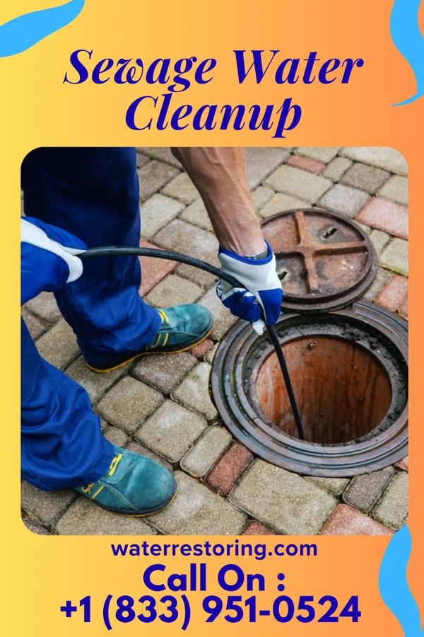 Sewage Water Cleanup in Garner, NC
