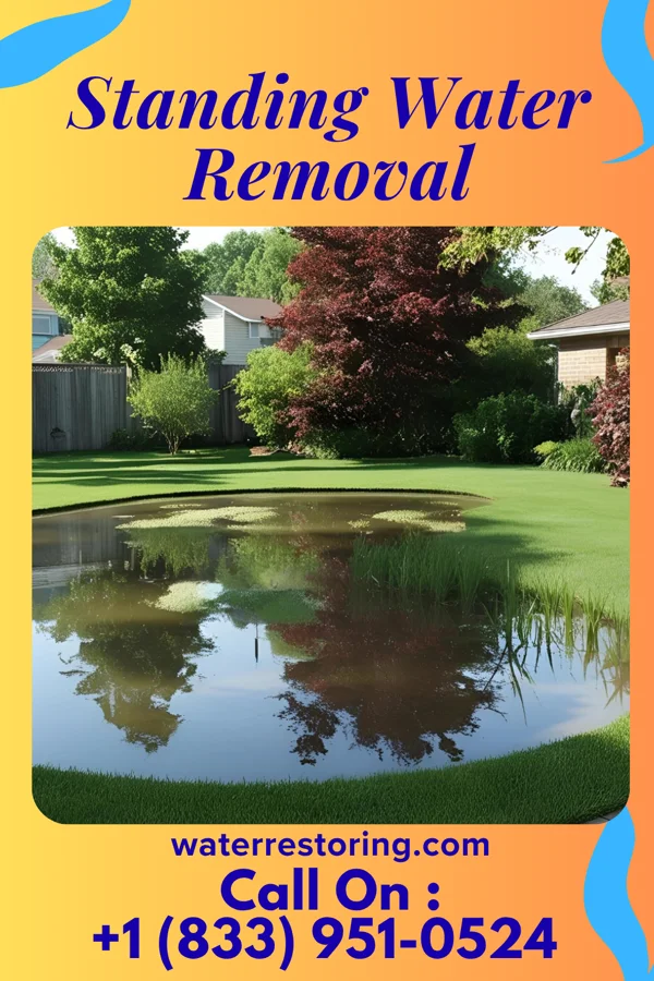 Standing Water Removal in Garner, NC